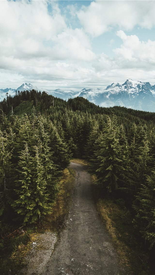 640x1136 gray asphalt road between green leafed trees under... - united states iPhone Wallpaper