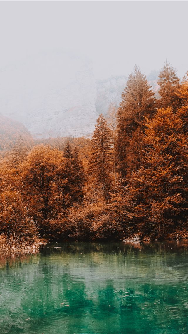 640x1136 blue lake surrounded by brown leafed trees - mountain iPhone Wallpaper