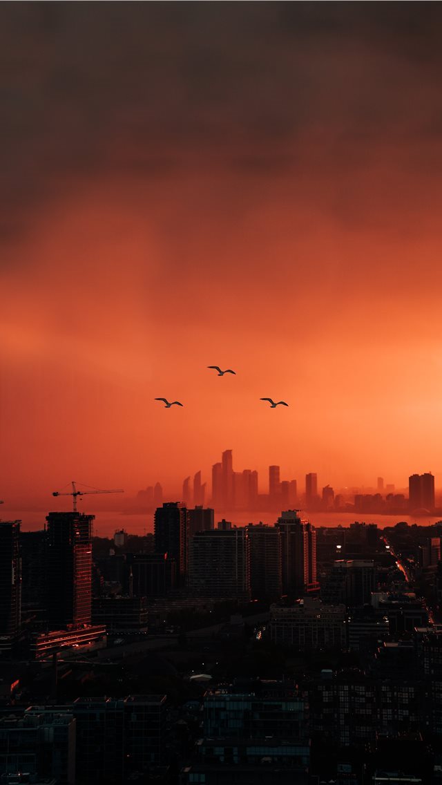 640x1136 city buildings photo during sunset - nature iPhone Wallpaper