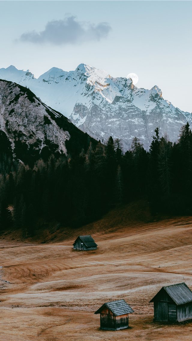 640x1136 green leafed trees near mountain during daytime - prags iPhone Wallpaper