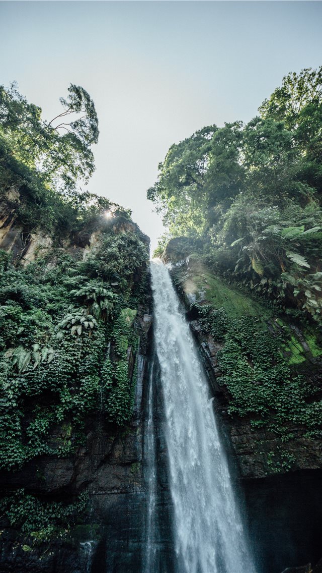 640x1136 photography of waterfalls during daytime - jungle iPhone Wallpaper