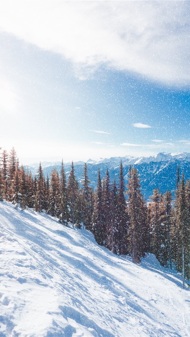 640x1136 brown trees on mountain - canada iPhone Wallpaper