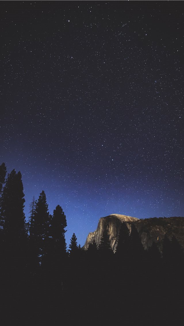 640x1136 silhouette of tree at night - space iPhone Wallpaper