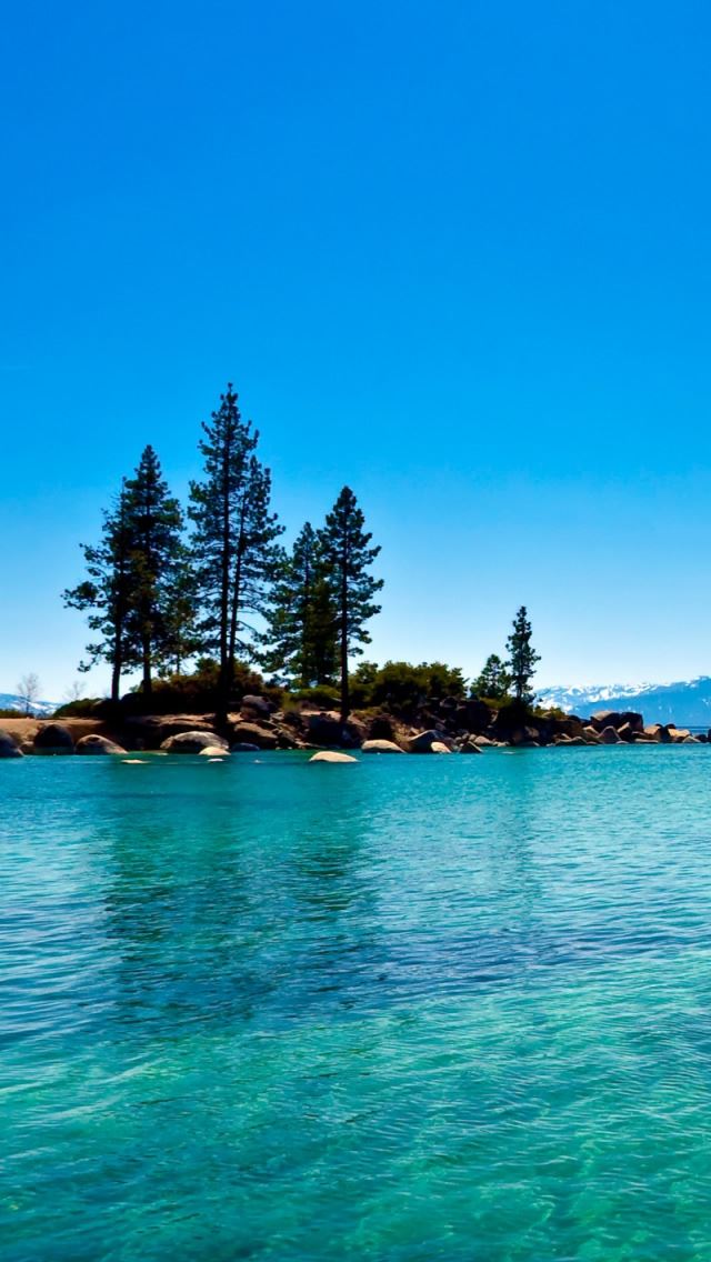 640x1136 Lake Tahoe California - tree iPhone Wallpaper