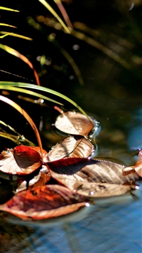 The Moment wallpaper