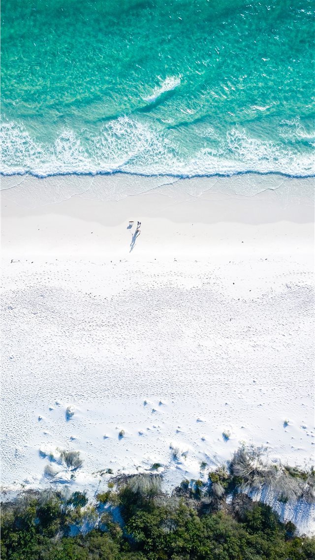 640x1136 two people on beach during daytime - animal iPhone Wallpaper