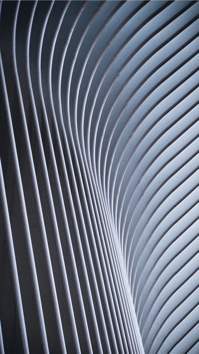 640x1136 gray digital wallpaper - united states iPhone Wallpaper