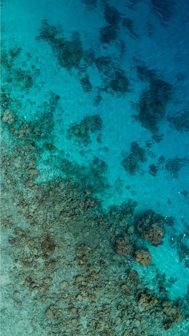 640x1136 aerial photography of sea and stones - maldives iPhone Wallpaper