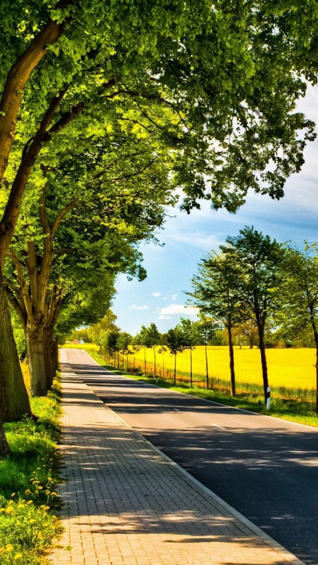 640x1136 Roadscape - tree iPhone Wallpaper