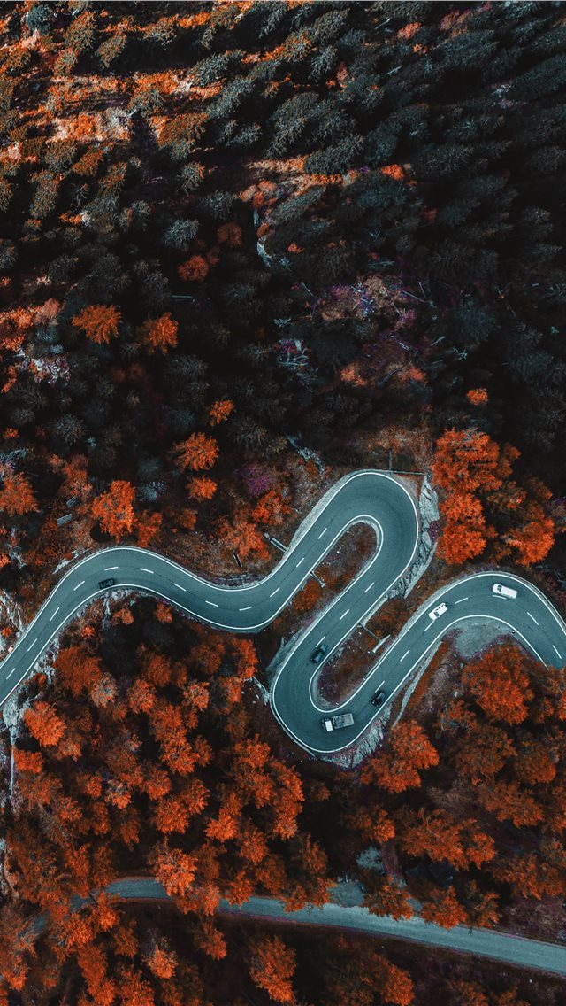 640x1136 aerial photography of asphalt road surrounded with... - switzerland iPhone Wallpaper
