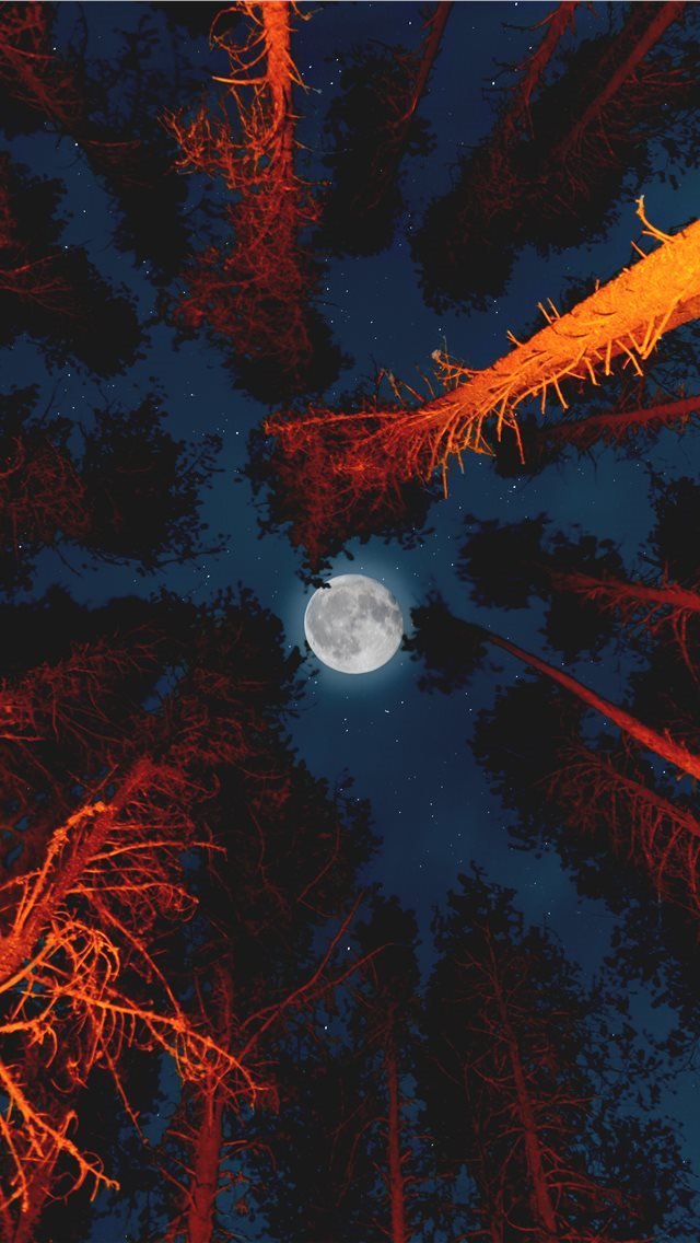 640x1136 full moon - united states iPhone Wallpaper