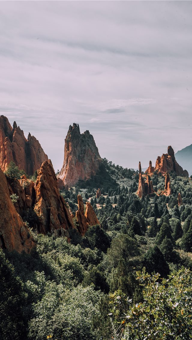 640x1136 aerial photo of trees - mountain iPhone Wallpaper