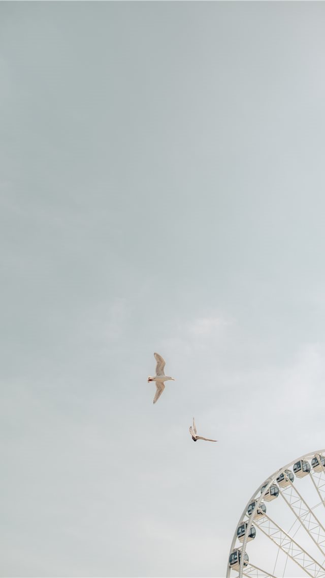 640x1136 two birds on flight - clouds iPhone Wallpaper