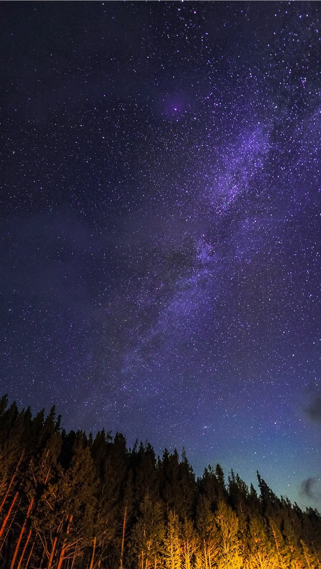 640x1136 pine trees during nighttime - usa iPhone Wallpaper