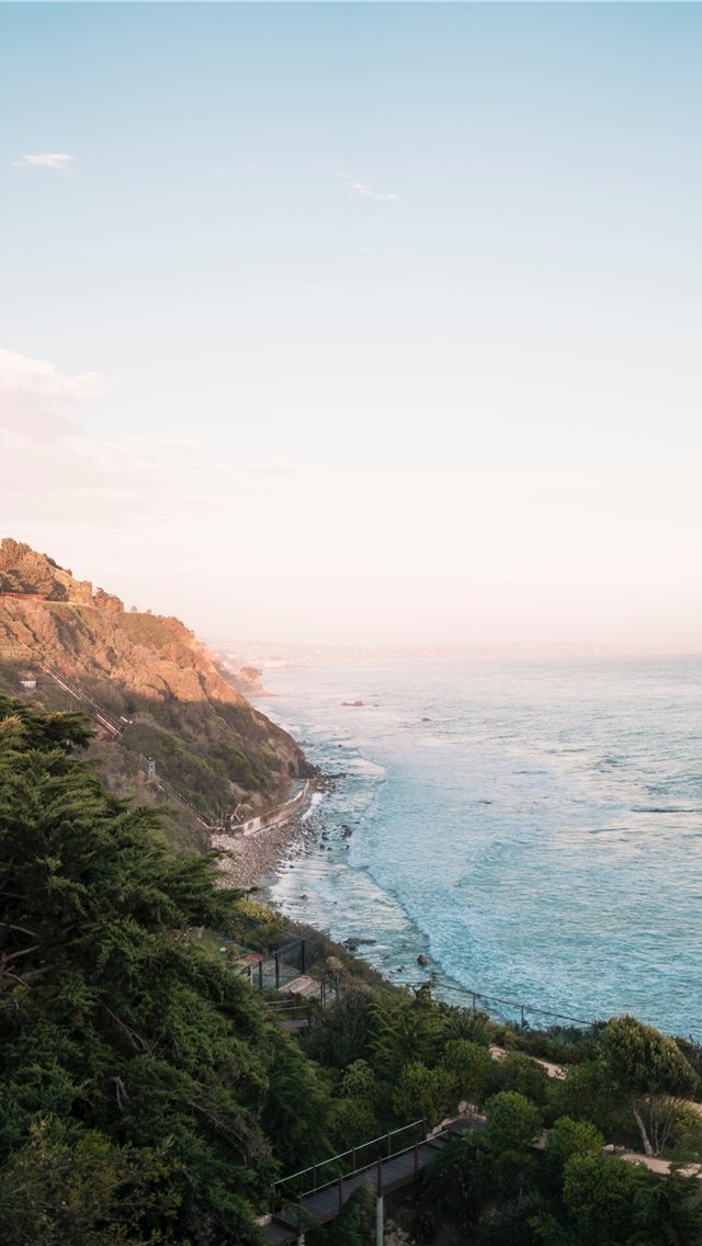 640x1136 ocean waves - tree iPhone Wallpaper