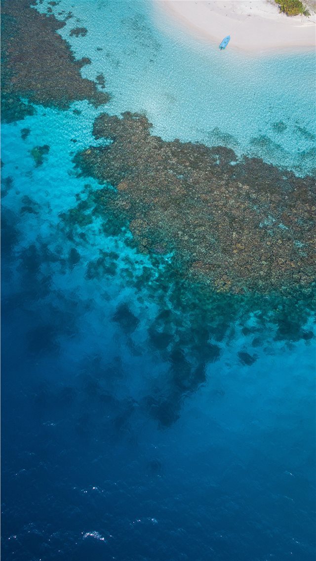 640x1136 Maldivian lagoon  - animal iPhone Wallpaper