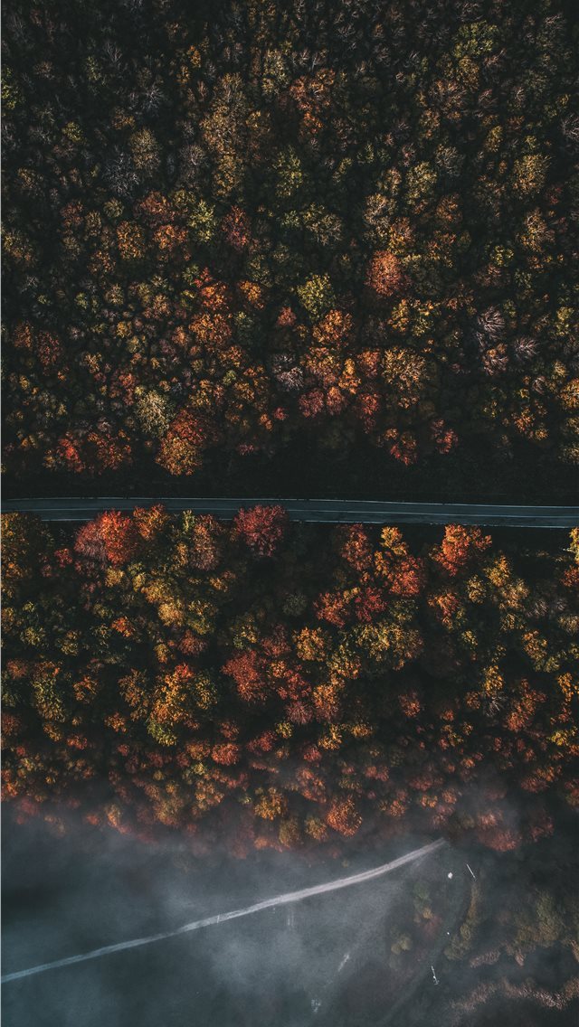 640x1136 aerial photography of roadway and trees - grey iPhone Wallpaper