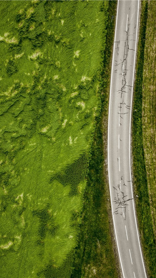 640x1136 aerial photo of empty concrete road between plants - scenery iPhone Wallpaper