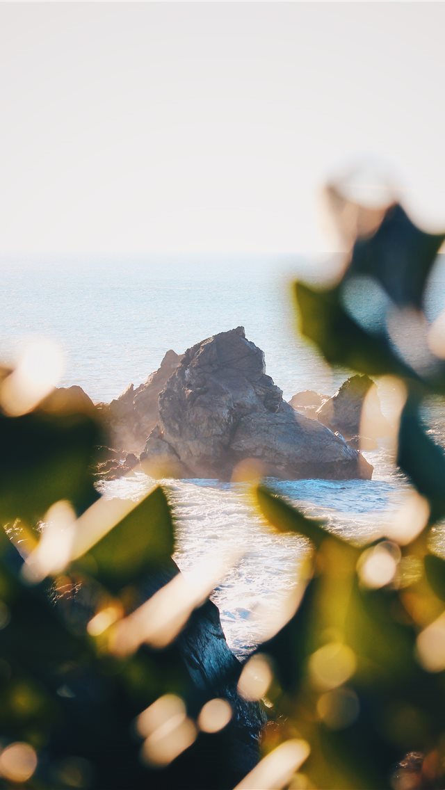 640x1136 brown rocks on beach - california iPhone Wallpaper