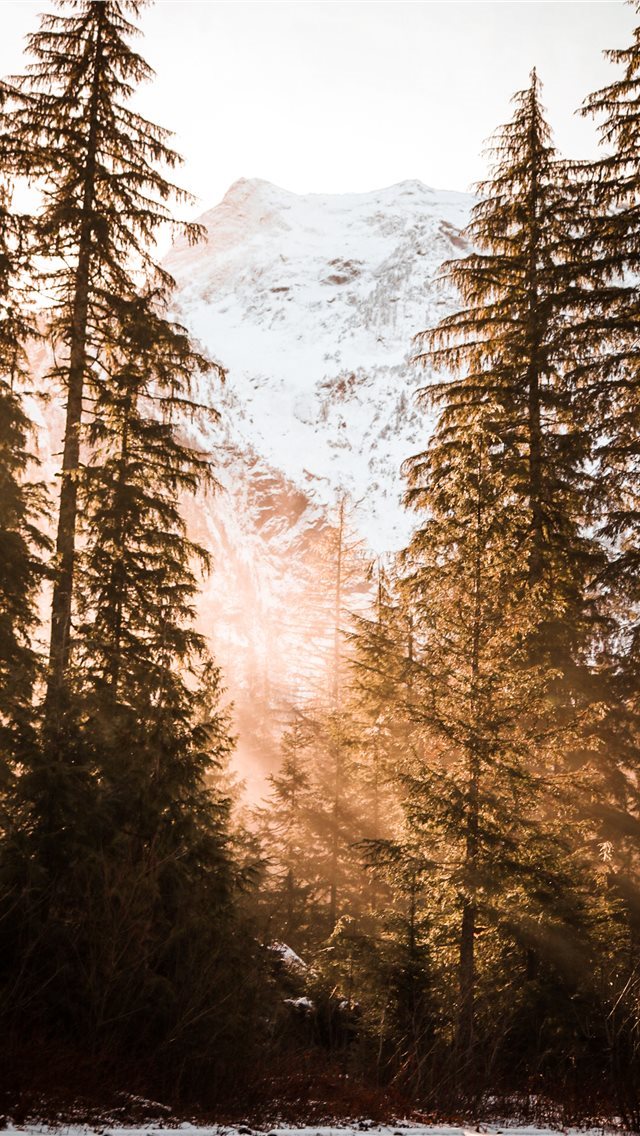 640x1136 snow covered mountain near trees - fire iPhone Wallpaper