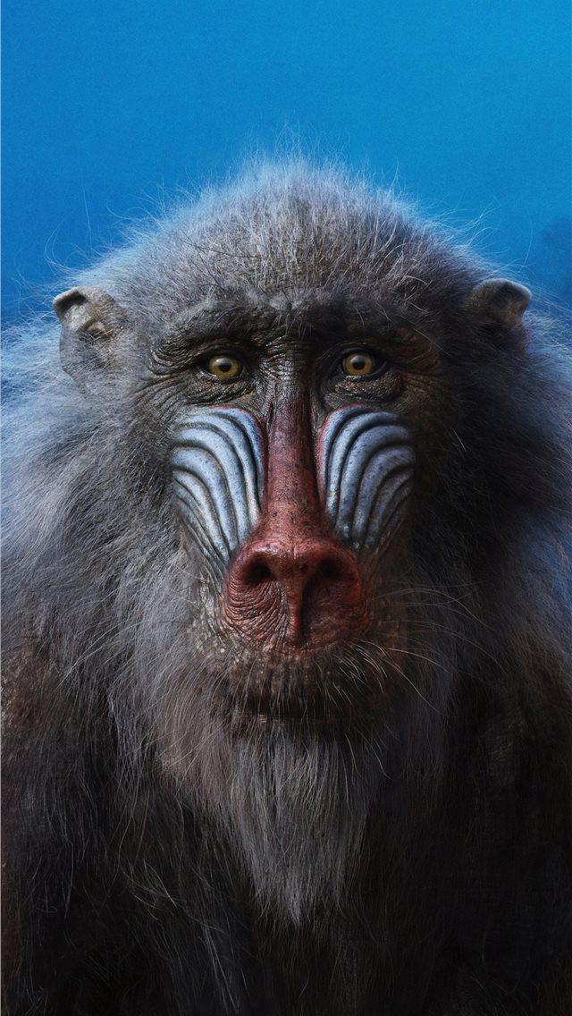 640x1136 john kani as rafiki the lion king 2019 4k - disney iPhone Wallpaper