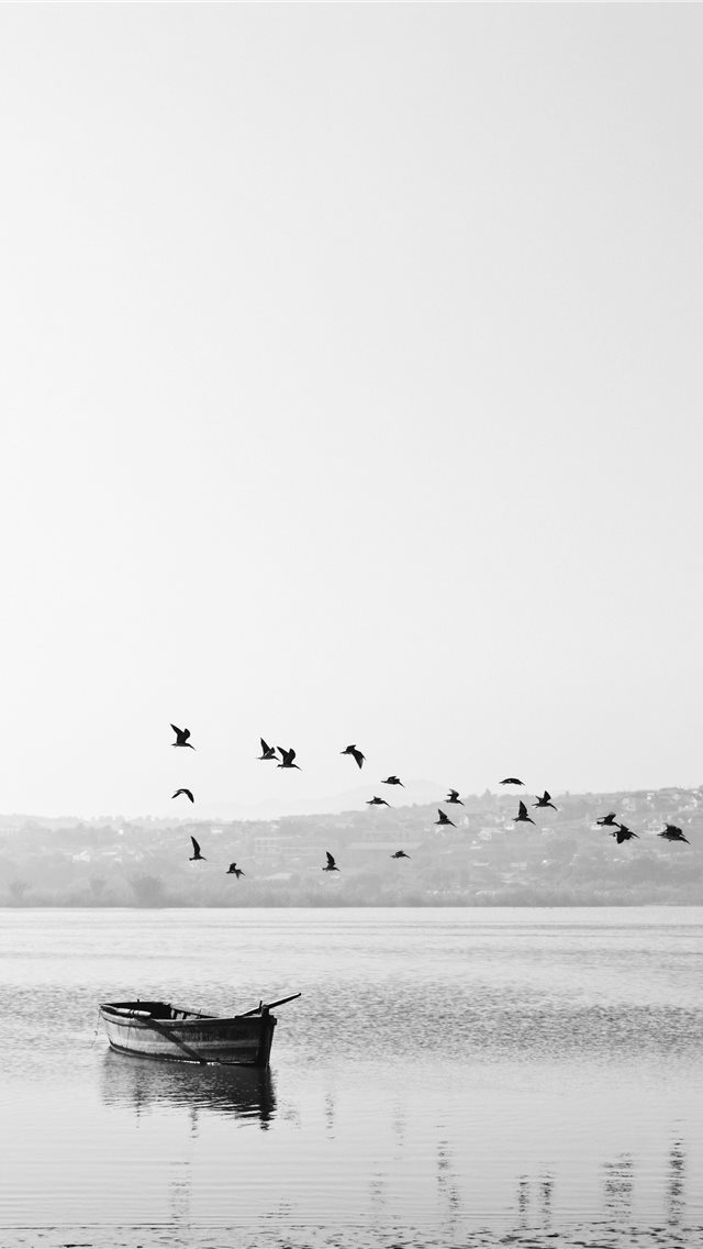 birds flying over boat iPhone wallpaper 