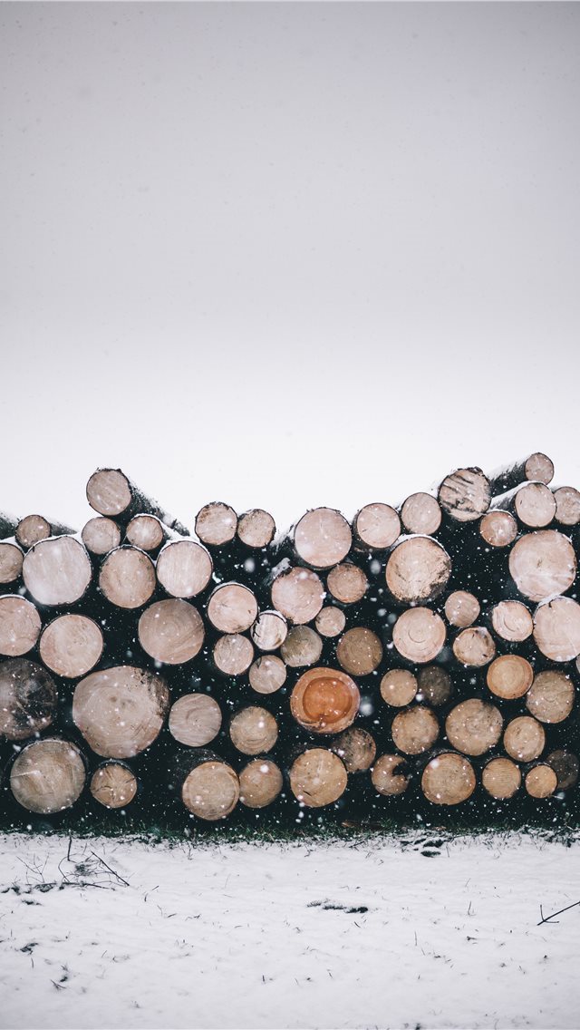 640x1136 pile of wood logs - austria iPhone Wallpaper