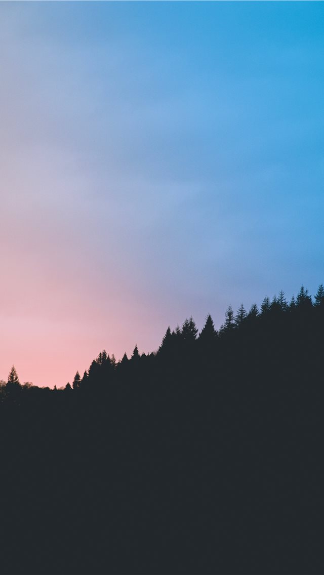 640x1136 Sunset Silhouette - fall iPhone Wallpaper