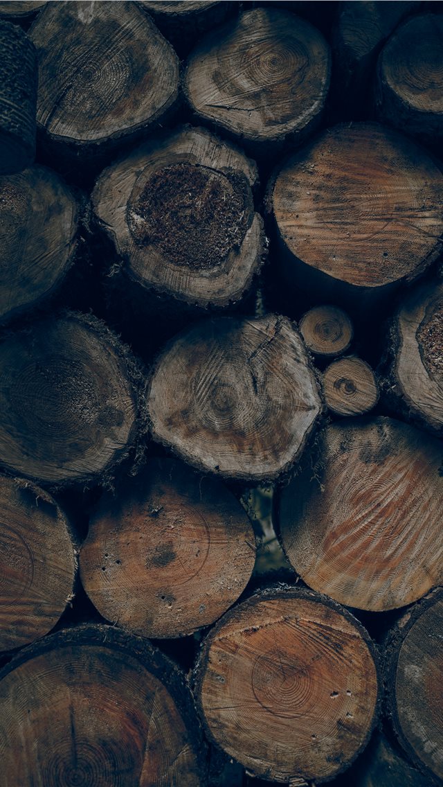 brown wood slice lot iPhone wallpaper 