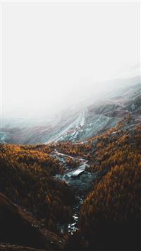 aerial photography of brown trees and mountains un... wallpaper
