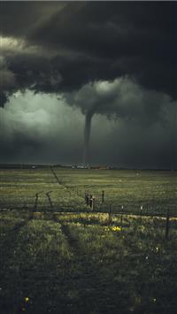 storm near leafed plants wallpaper