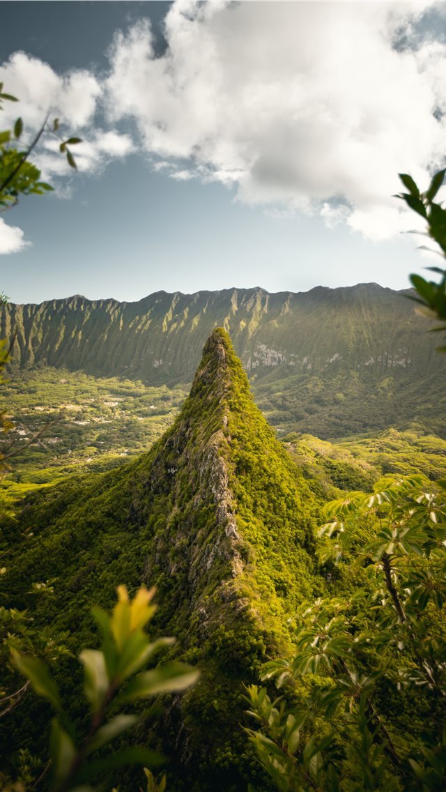640x1136 landscape photography of mountain surrounded with ... - tree iPhone Wallpaper