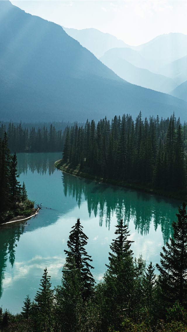 body of water and pine trees iPhone wallpaper 