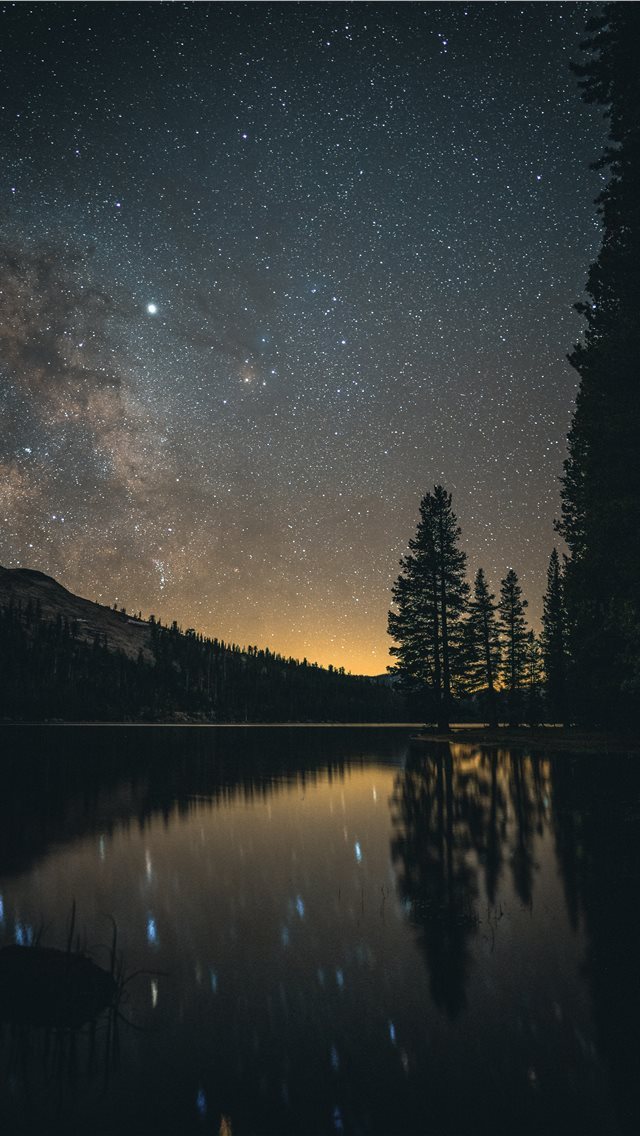 640x1136 tall trees near body of water at nighttime - space iPhone Wallpaper
