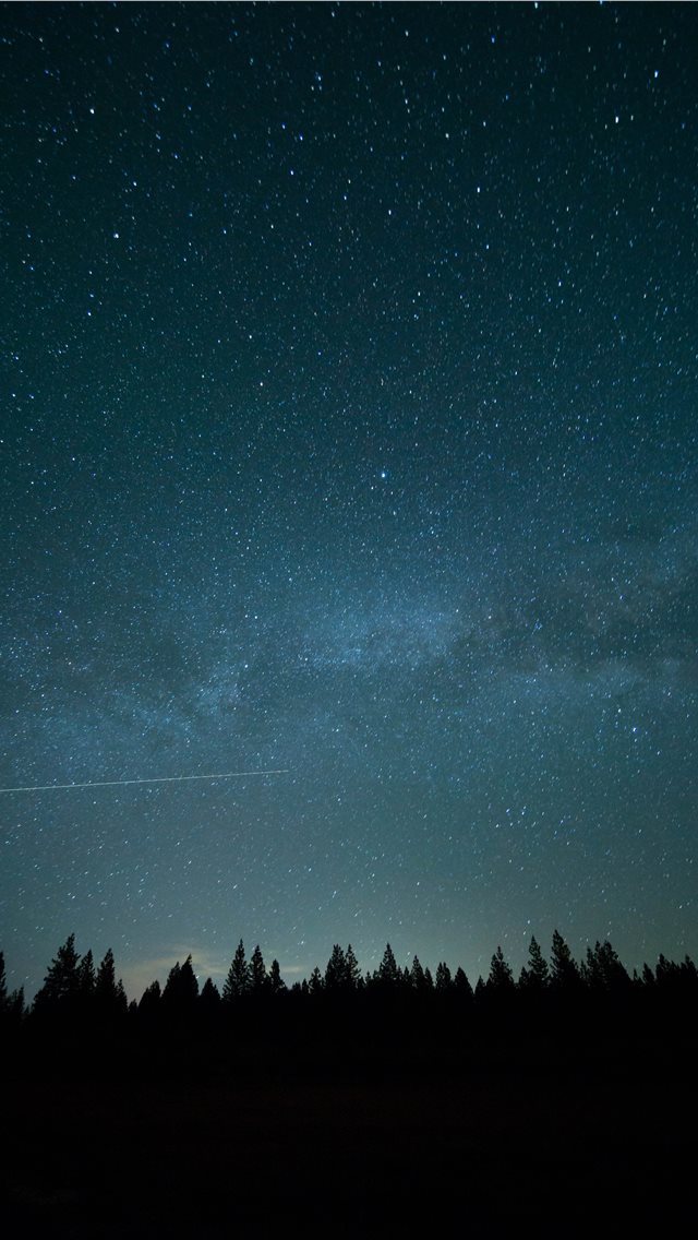 640x1136 trees under blue sky and stars during nighttime ph... - grey iPhone Wallpaper