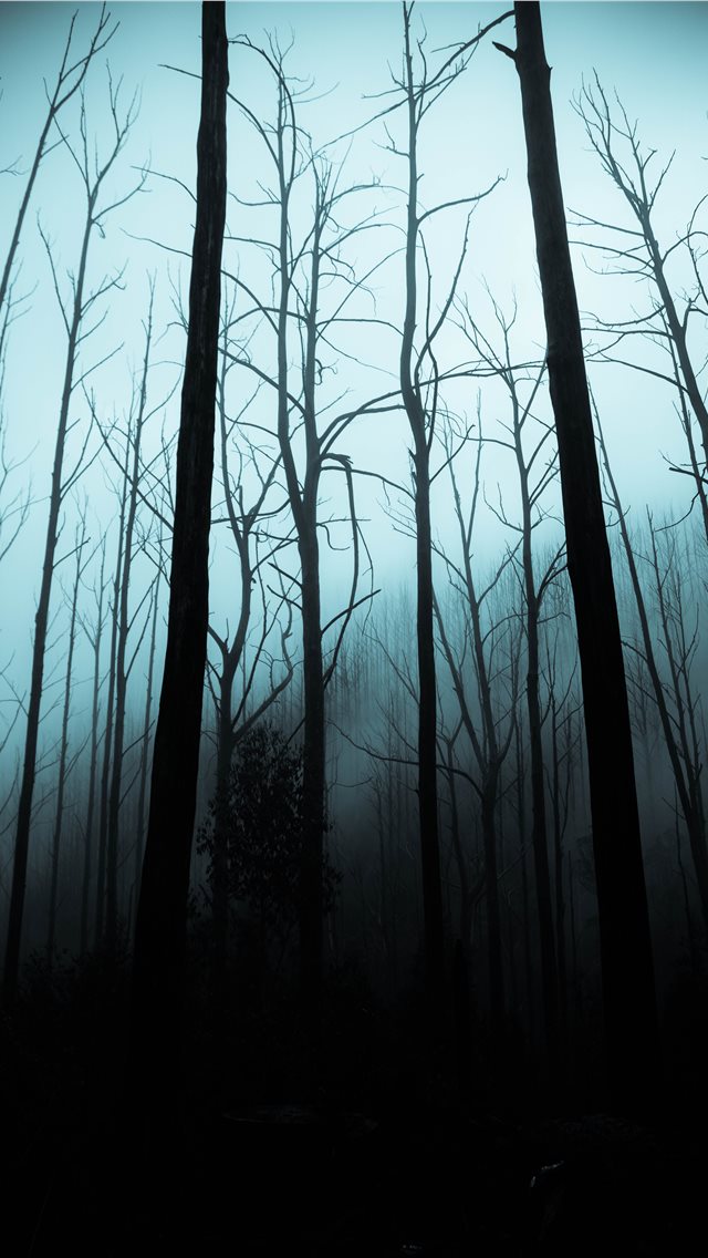 Cute Ghost Halloween Forest 4K Wallpaper iPhone HD Phone #3351m