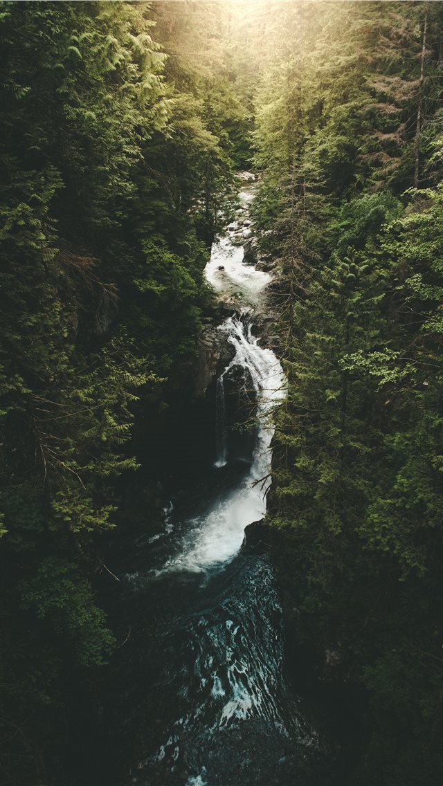 640x1136 river surrounded by trees - tree iPhone Wallpaper