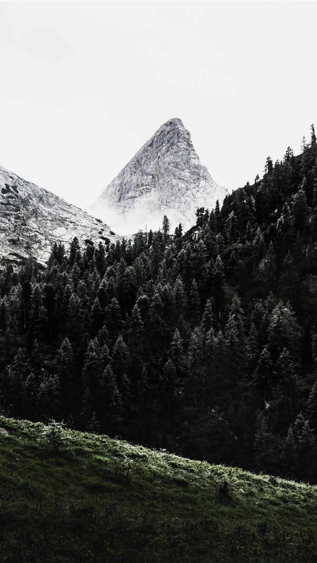 640x1136 green pine trees across white mountain - nature iPhone Wallpaper