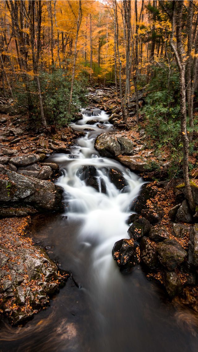 640x1136 time lapse photo of body of water surrounded by tr... - tree iPhone Wallpaper