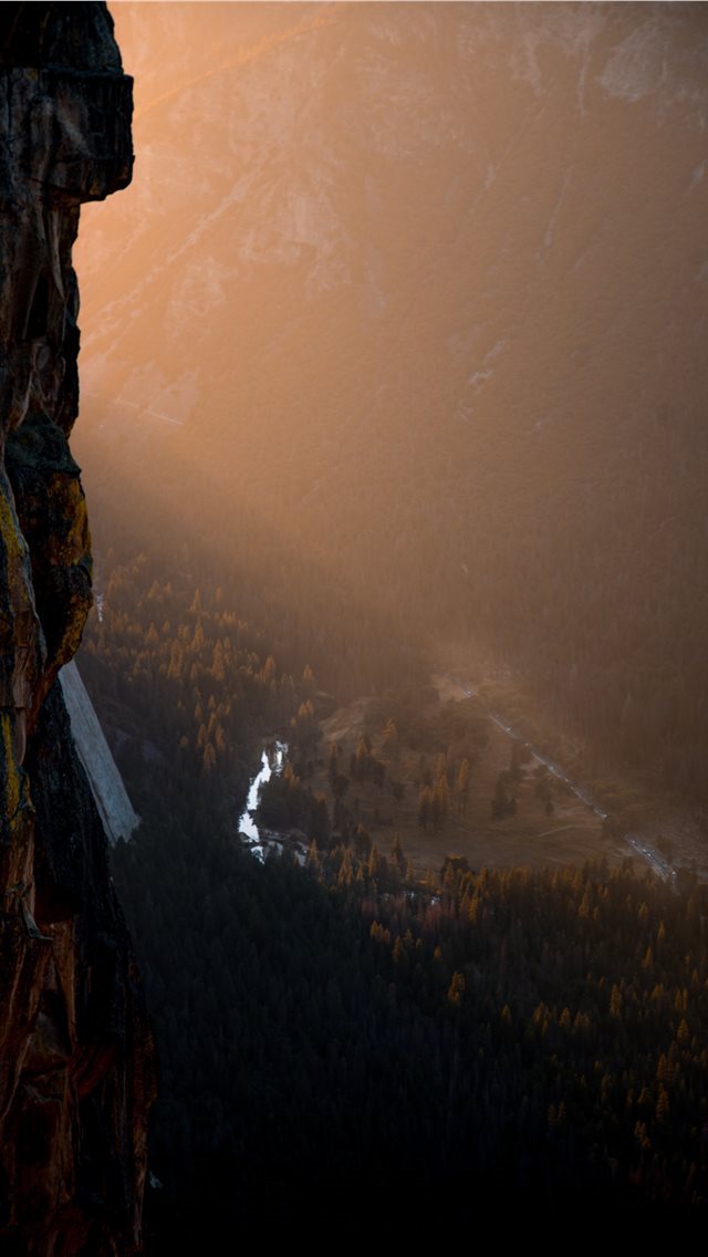 640x1136 top view photography of tree during golden hour -  iPhone Wallpaper