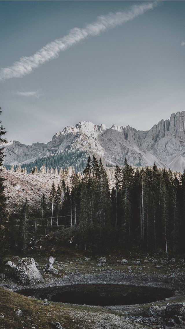 640x1136 lake in forest - tree iPhone Wallpaper