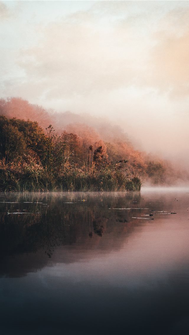 640x1136 green leafed trees and body of water - deutschland iPhone Wallpaper