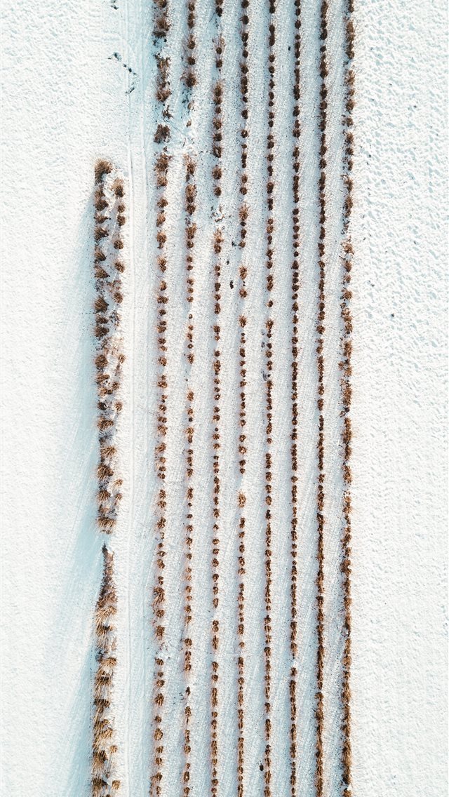 640x1136 women's white and brown coat - landscape iPhone Wallpaper