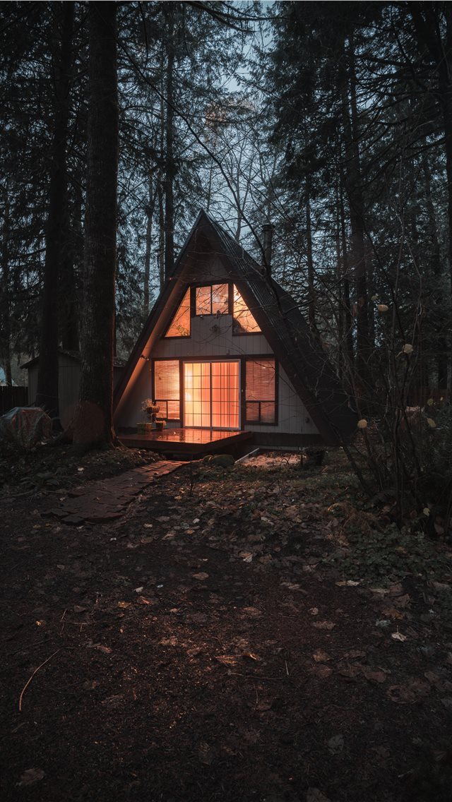 640x1136 An A Frame home at night in the Mount Hood area  - oregon iPhone Wallpaper