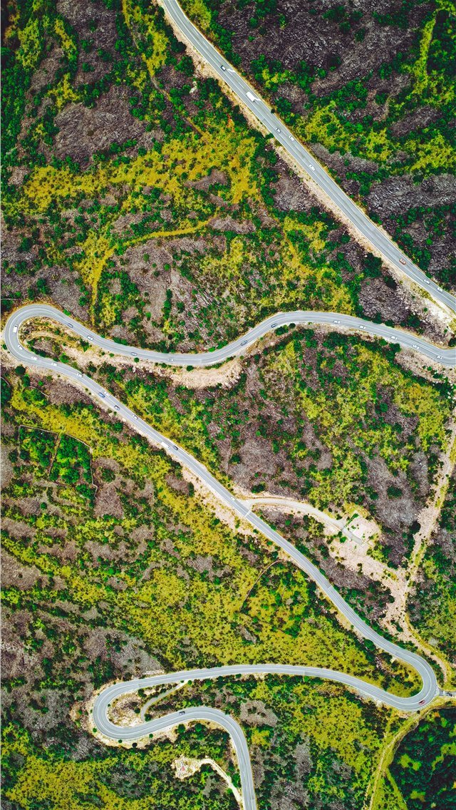 640x1136 aerial photography of road - trees iPhone Wallpaper
