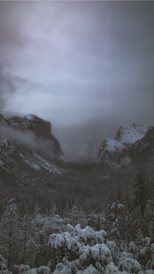 640x1136 green trees covered by snow near mountain - tree iPhone Wallpaper
