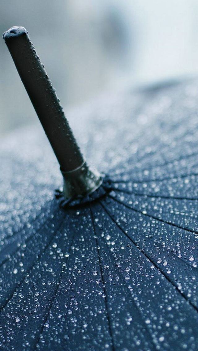 640x1136 Umbrella - drop iPhone Wallpaper