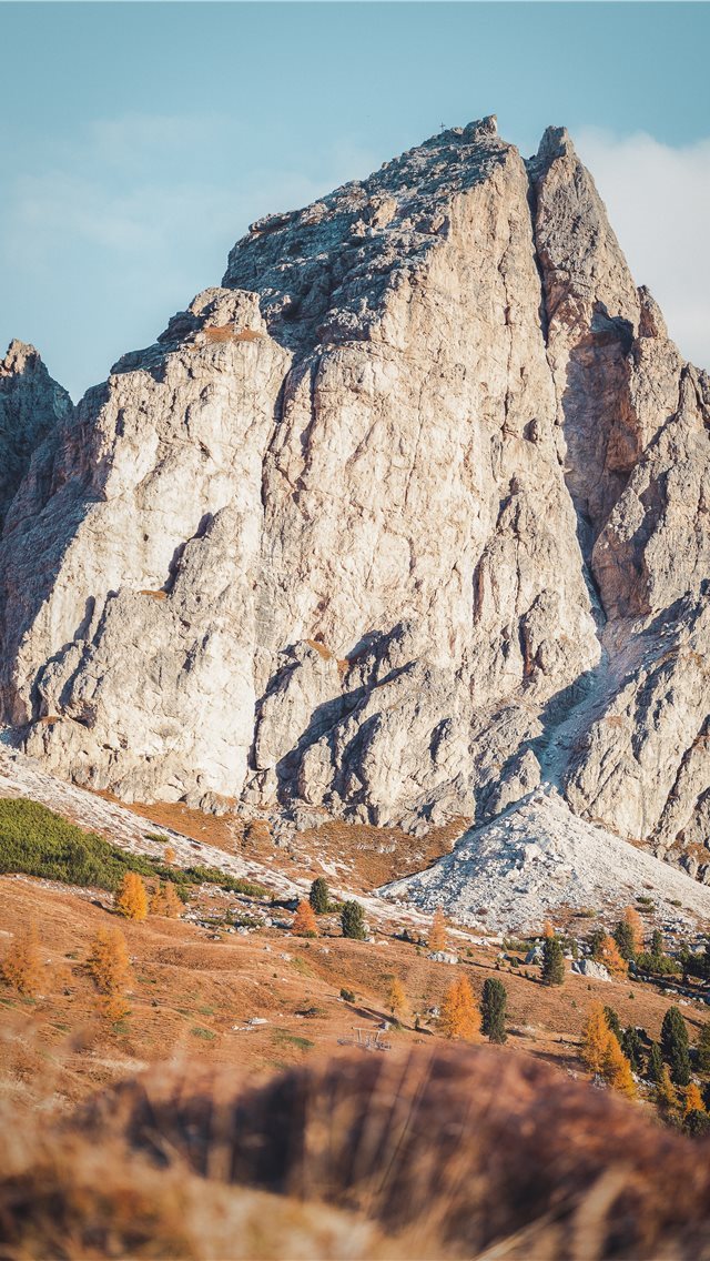 640x1136 selective focus photography of rock formatio - bird iPhone Wallpaper