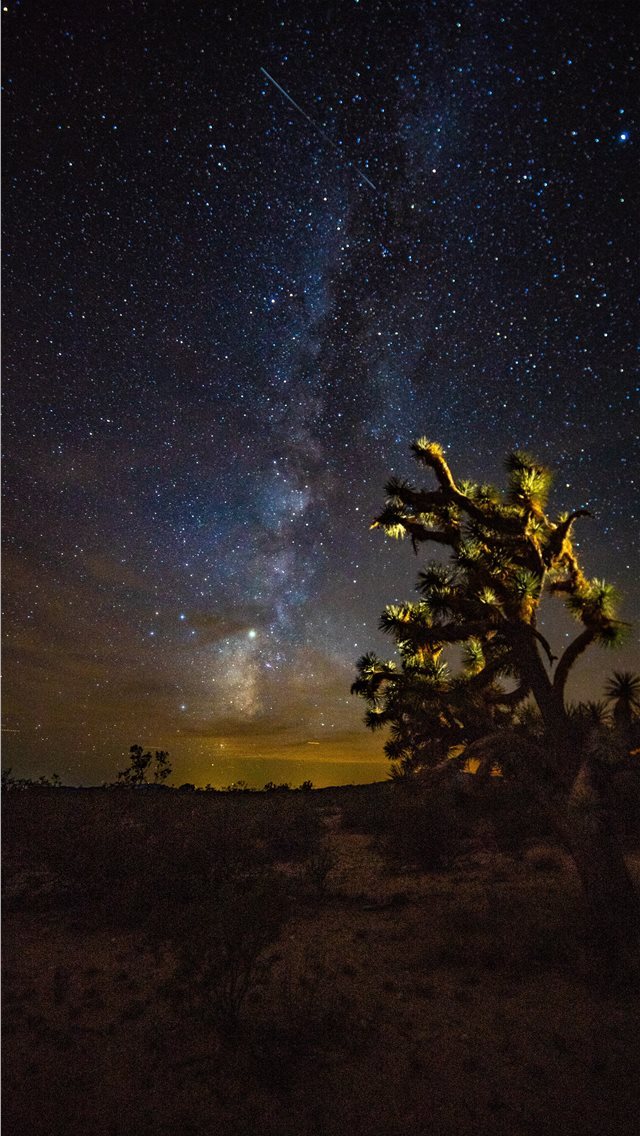 640x1136 green tree under blue sky - wickenburg iPhone Wallpaper