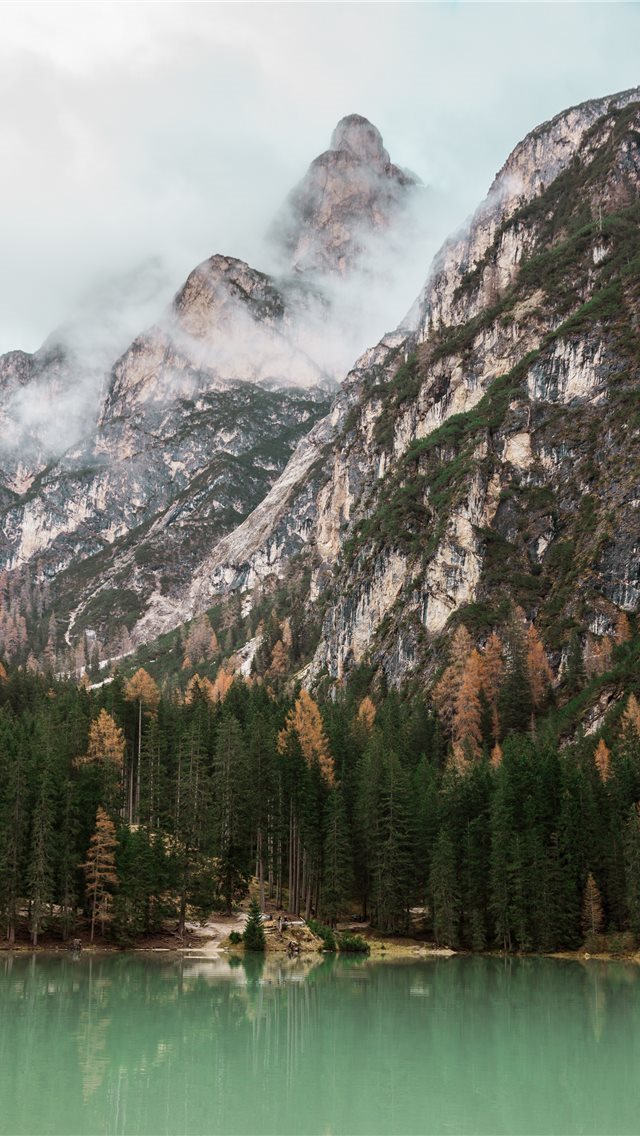 640x1136 green trees near lake at daytime - italy iPhone Wallpaper